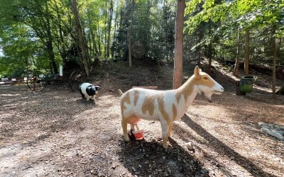 Pro děti – Farmapark u Toma